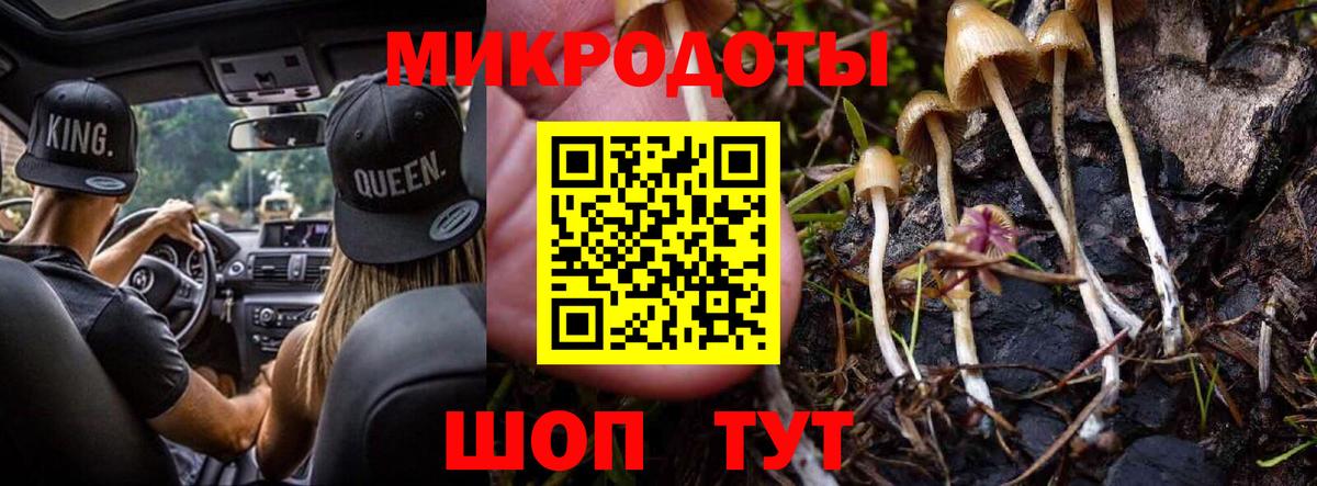 Волгодонск  Галлюциногенные грибы GOLDEN TEACHER  Вход с VPN 